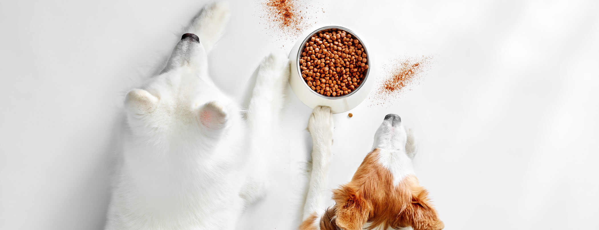 Krill meal price powder supplier Krill meal price powder supplier